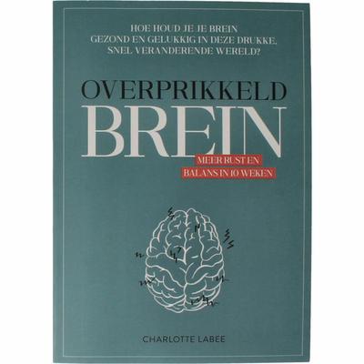 CHARLOTTE LABEE overprikkeld brein boek