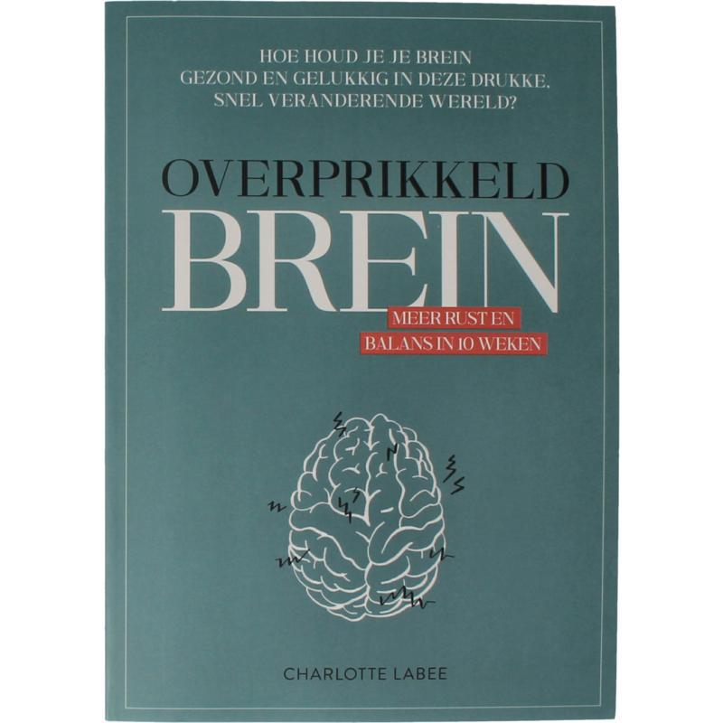 overprikkeld brein boek