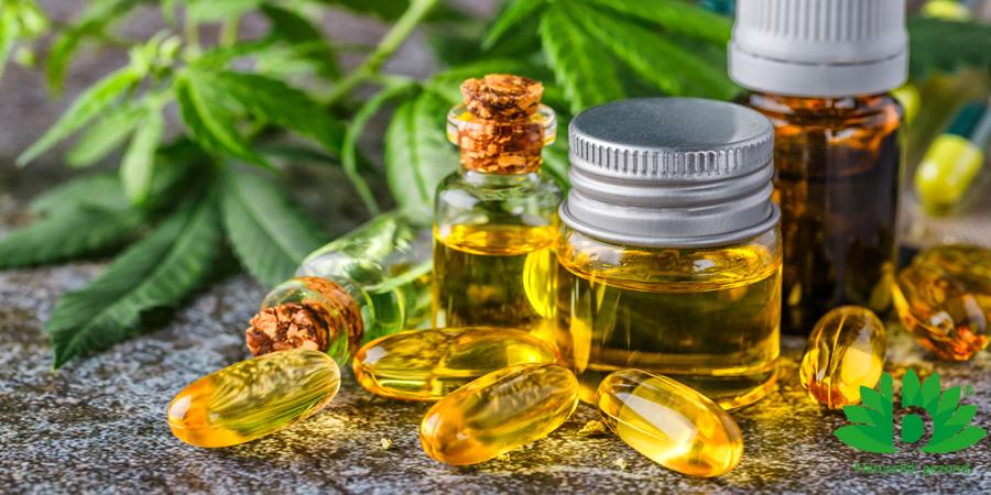 Alles wat je moet weten over CBD olie Alles wat je moet weten over CBD olie