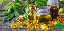 Alles wat je moet weten over CBD olie