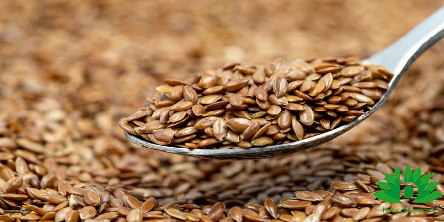 Alles wat je moet weten over lijnzaad Alles wat je moet weten over lijnzaad