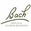 Bach