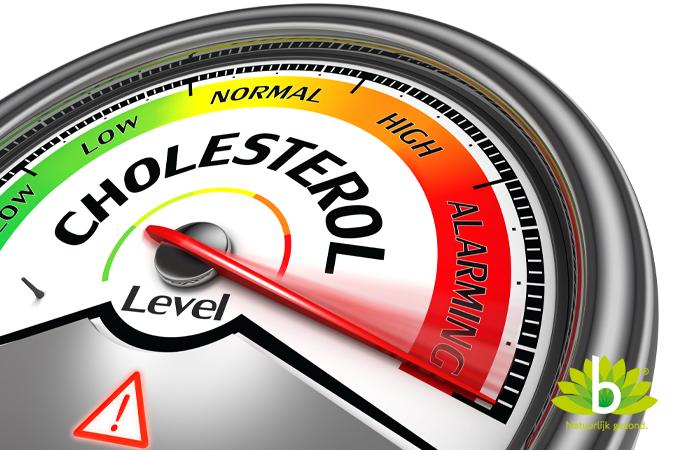 Rode gist rijst met Q10 helpt tegen een verhoogde cholesterol! Rode gist rijst met Q10 helpt tegen een verhoogde cholesterol!