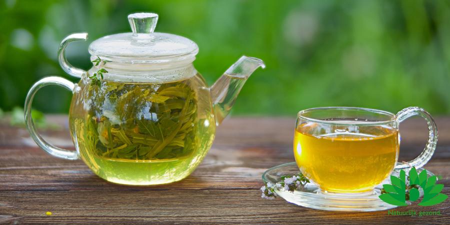De Voordelen van Groene Thee De Voordelen van Groene Thee