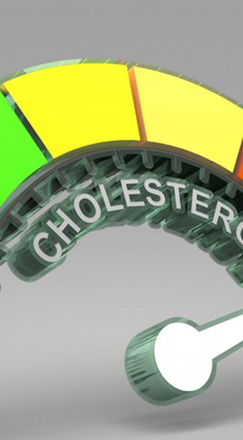 Hoe je het beste je cholesterol onder controle kunt houden_blog_2022_08