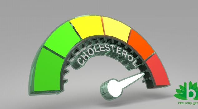 Hoe je het beste je cholesterol onder controle kunt houden_blog_2022_08