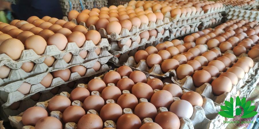 Hoeveel eieren mag je per week/dag eten?