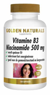 Golden Naturals Vitamine B3 niacinamide