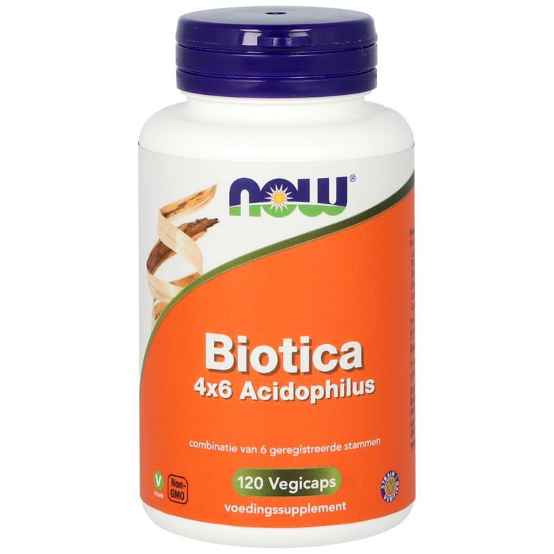 Biotica 4 x 6 acidophilus