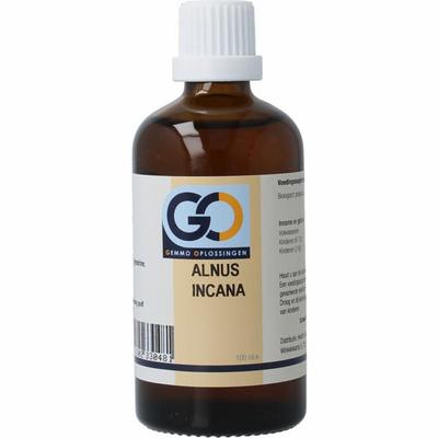 GO Alnus incana bio
