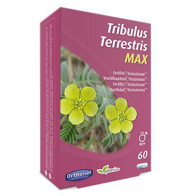 Tribulus terretris max
