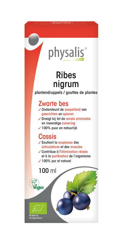 Ribes nigrum bio