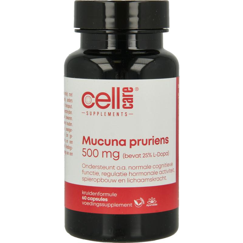 Mucuna pruriens 500mg (25% L-dopa)