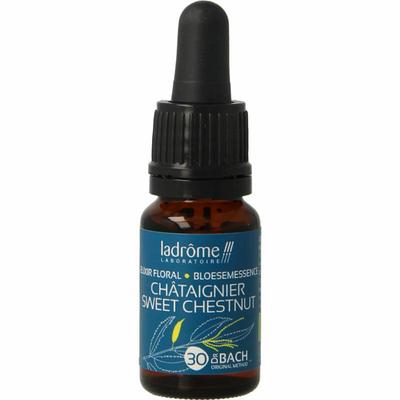 Ladrome Sweet chestnut / tamme kastanje bio