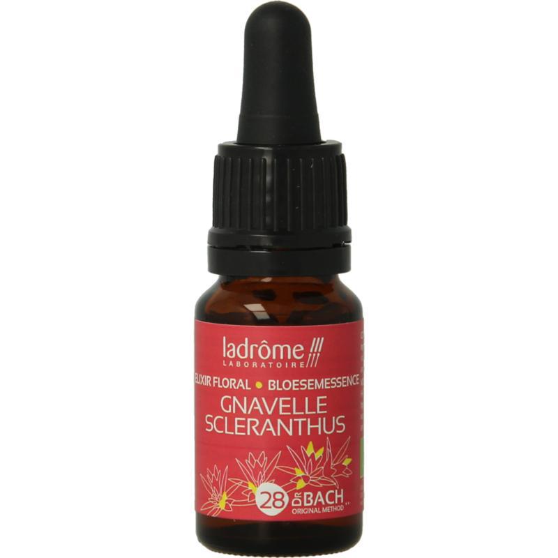 Scleranthus / hardbloem bio