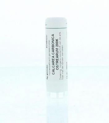 Homeoden Heel Calcarea carbonica 0 200K