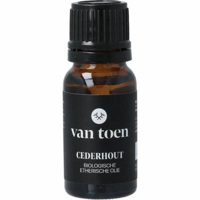 Van Toen Cederhout bio