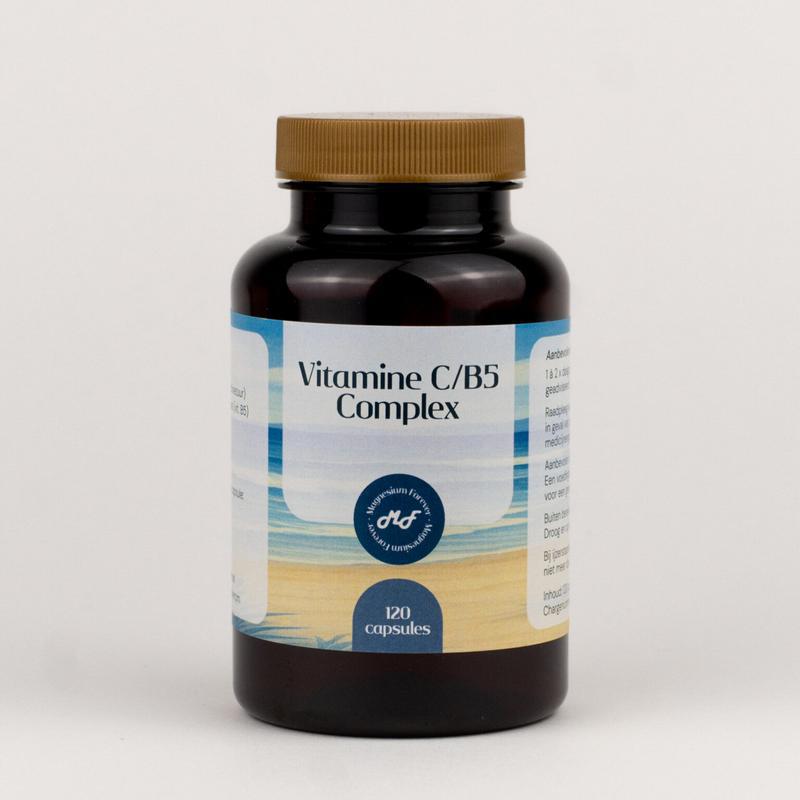 vitamine c/b5 120ca