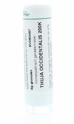 Homeoden Heel Thuja occidentalis 200K