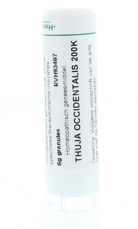 Thuja occidentalis 200K