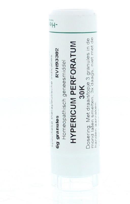 Hypericum perforatum 30K