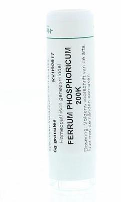 Homeoden Heel Ferrum phosphoricum 200K