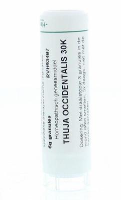 Homeoden Heel Thuja occidentalis 30K