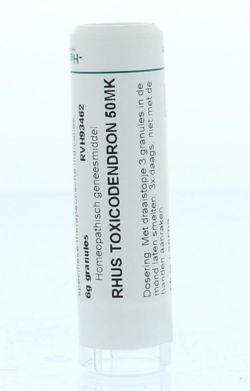 Rhus toxicodendron 50MK