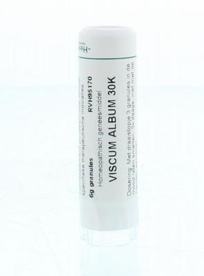 Homeoden Heel Viscum album 30K