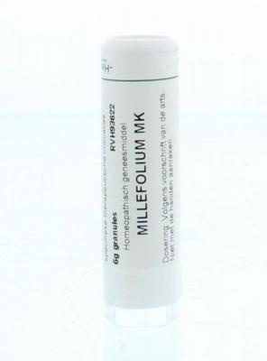 Homeoden Heel Millefolium MK