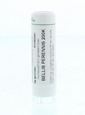 Homeoden Heel Bellis perennis 200K