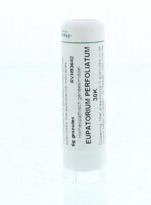 Homeoden Heel Eupatorium perfoliatum 30K