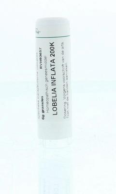 Homeoden Heel Lobelia inflata 200K