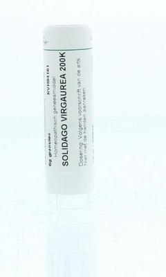 Homeoden Heel Solidago virgaurea 200K