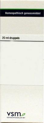 VSM cinnabaris d8 20