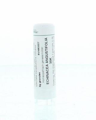 Homeoden Heel Echinacea angustifolia 30K