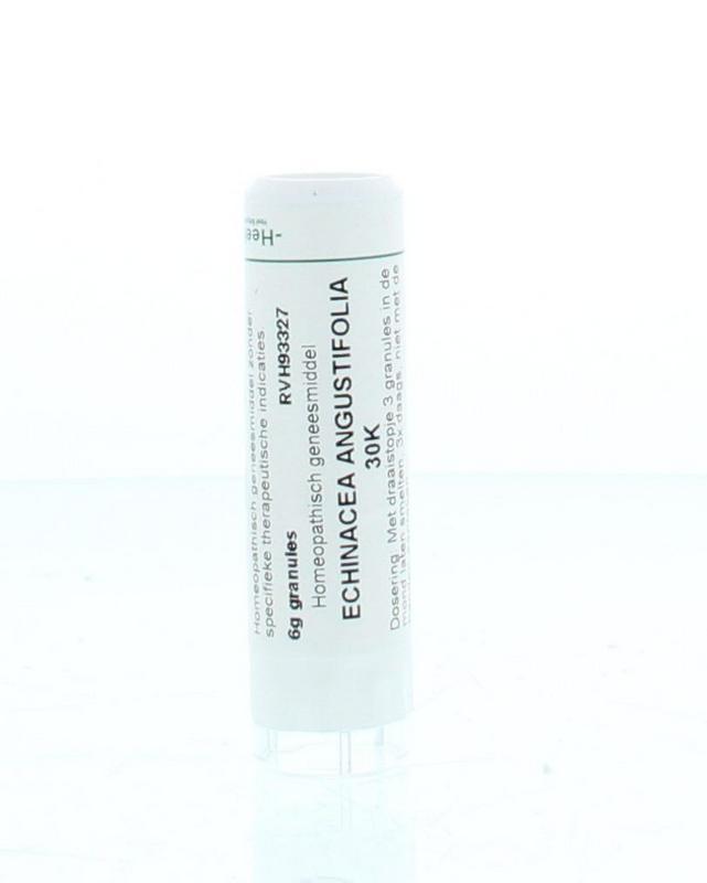 Echinacea angustifolia 30K