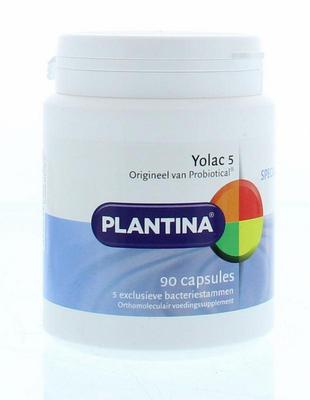 Plantina Yolac 5