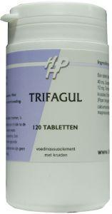 Trifagul