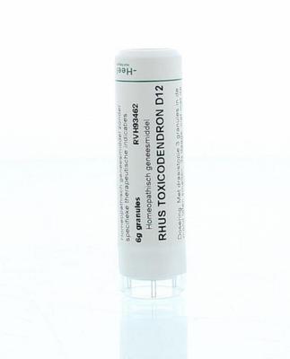 Homeoden Heel Rhus toxicodendron D12