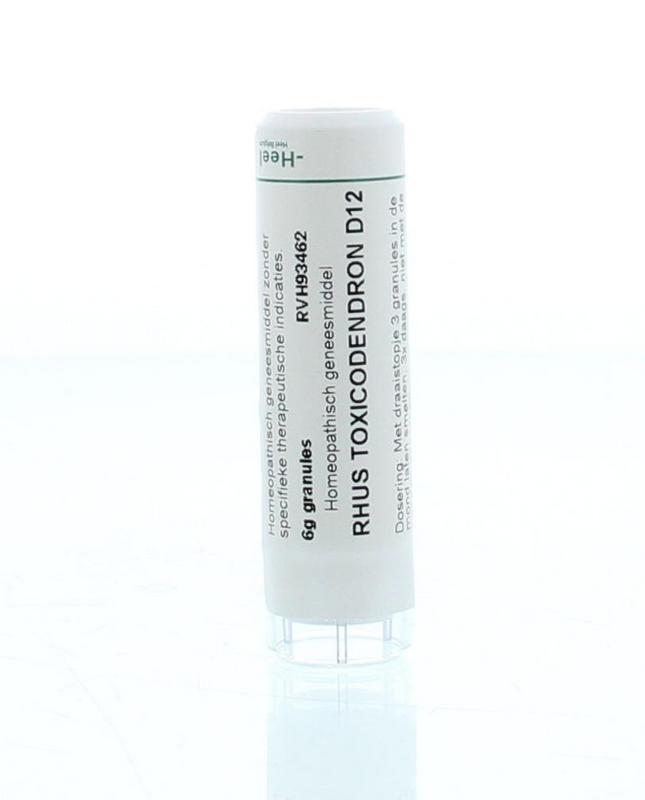 Rhus toxicodendron D12