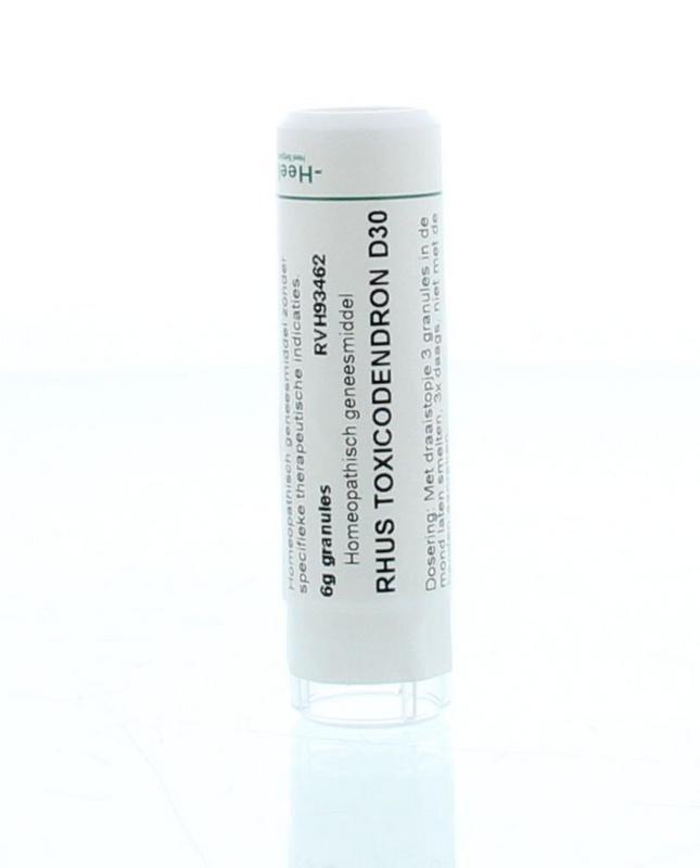 Rhus toxicodendron D30