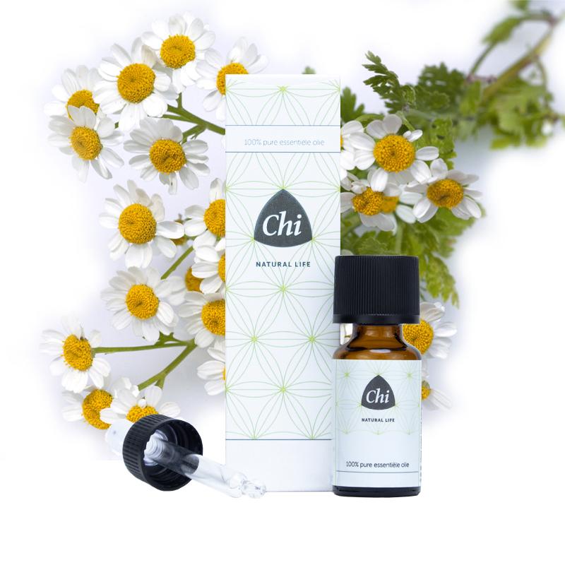 Kamille Marokko wild