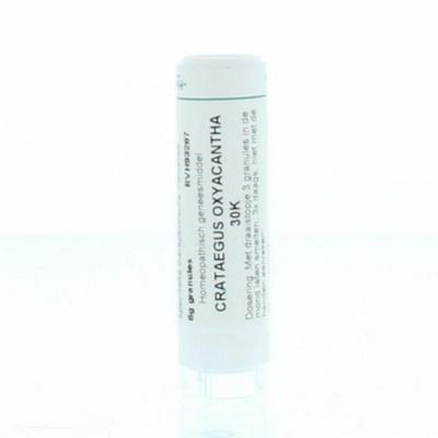 Homeoden Heel Crataegus oxyacantha 30K