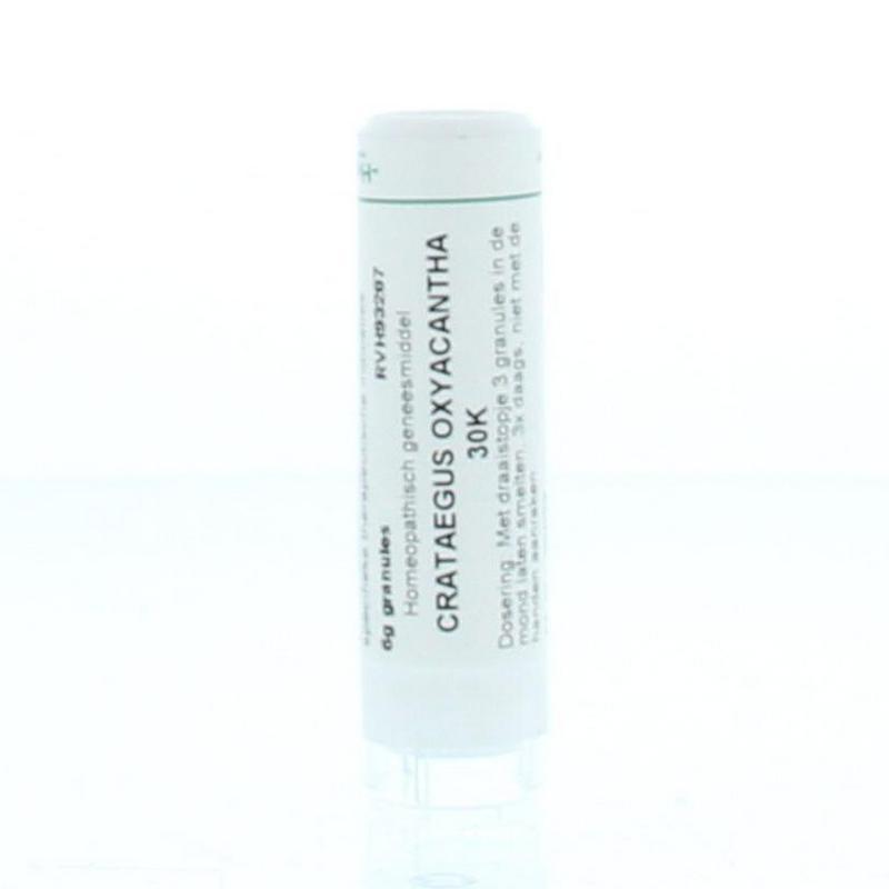 Crataegus oxyacantha 30K