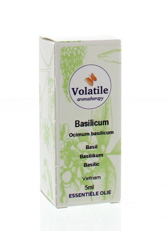 Basilicum