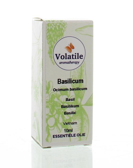 Basilicum