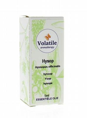 Volatile Hysop