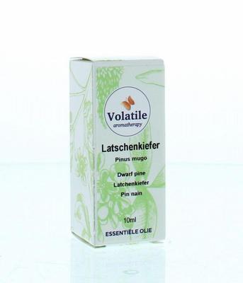 Volatile Latchenkiefer