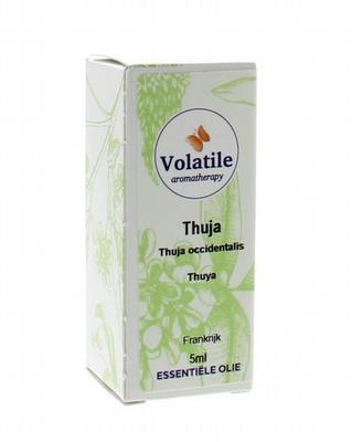 Volatile Thuja